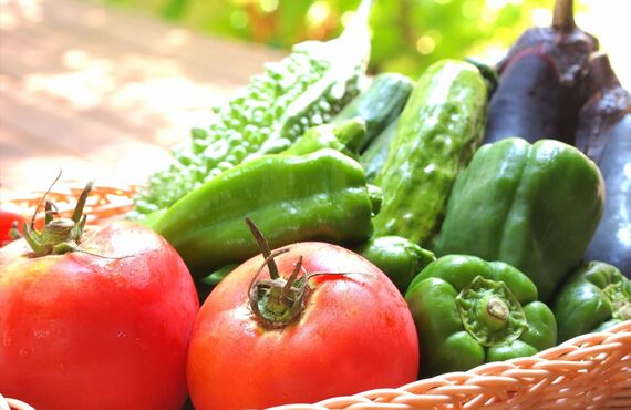 野菜はお取り寄せ通販でも購入することができますのでぜひご検討ください